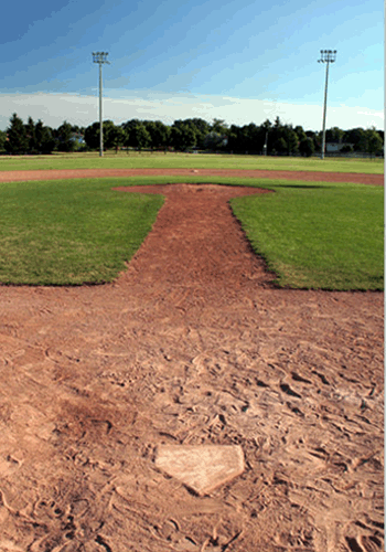 Baseball Field Backdrop
